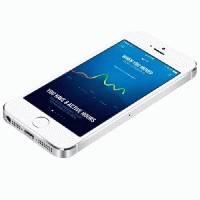 смартфон Apple iPhone 5s ME433RU/A