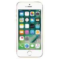 смартфон Apple iPhone SE MP882RU/A золотой