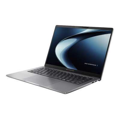 ноутбук ASUS ExpertBook P3 P3405CVA-LY0251 90NX08E1-M009E0 Серый