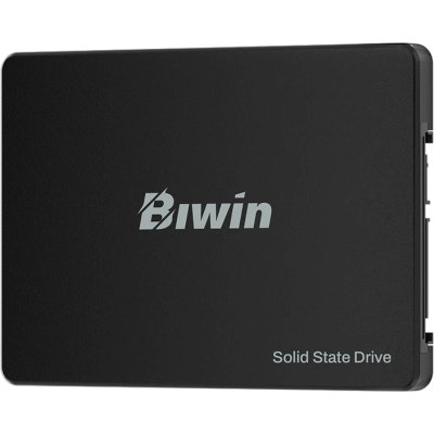 SSD диск Biwin M100 1Tb BM100NN01TB-RGX Черный