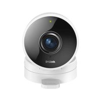 IP видеокамера D-Link DCS-8100LH/A1A
