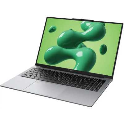 ноутбук Digma Chronos DN16P5-ADXW02 Серебристый