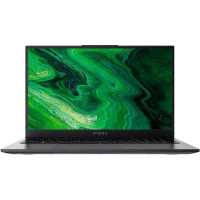 ноутбук Digma Pro Fortis M DN15P3-8CXF01-wpro Серый