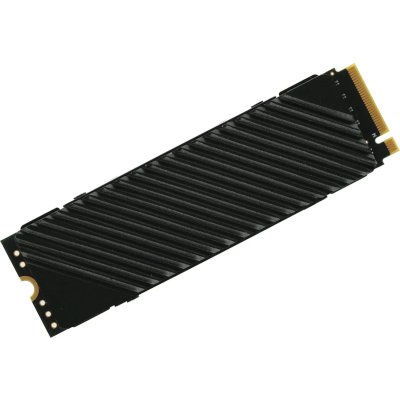 SSD диск Digma Top G3 4Tb DGST4004TG33T Черный