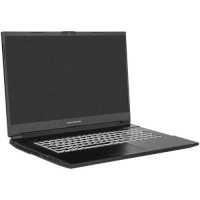 ноутбук Dream Machines RG3060-17KZ39 Черный