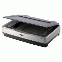сканер Epson Expression 11000XL Серый