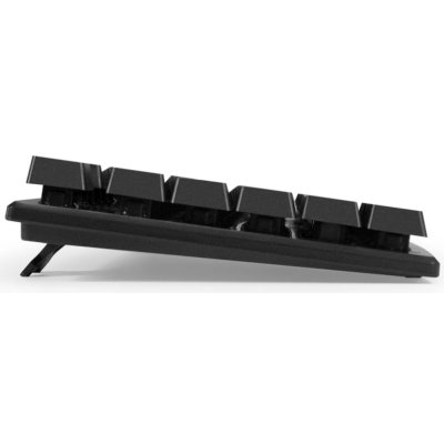 клавиатура ExeGate Professional Standard Combo MK110 Black EX295302RUS Черный