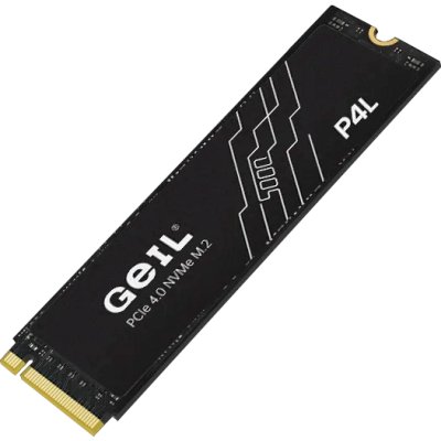 SSD диск GeIL P4L 2Tb P4LFD23C2TBA Черный