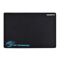 Gigabyte GP-MP100