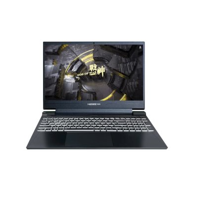 ноутбук Hasee S8 D42654FH-wpro Черный