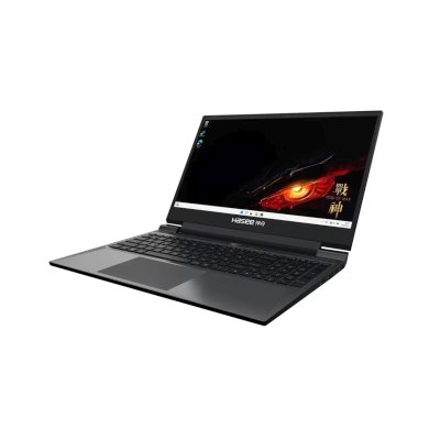ноутбук Hasee S8 D42654FH-wpro Черный