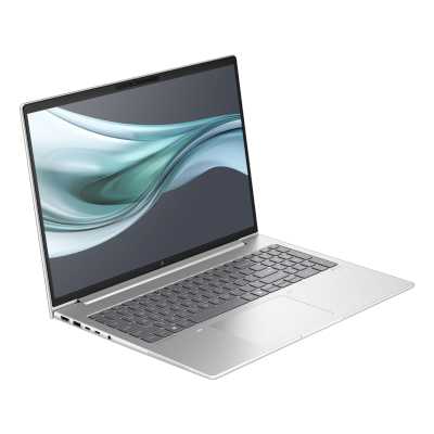 ноутбук HP EliteBook 660 G11 902D8AV Серебристый