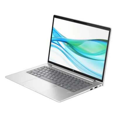 ноутбук HP ProBook 440 G11 D2FP6ET-wpro Серебристый
