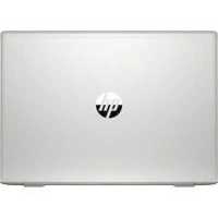 ноутбук HP ProBook 455 G7 1F3M7EA Серебристый