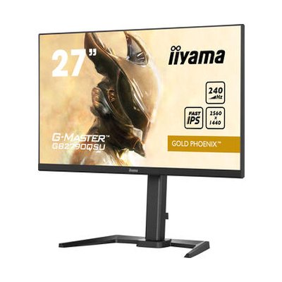монитор Iiyama G-Master Gold Phoenix GB2790QSU-B5 Черный