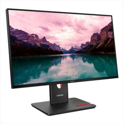 монитор Lenovo ThinkVision T24-40 64A4MATXEU Черный