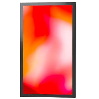 профессиональный дисплей Lumien Outdoor 02 LOS4302FHD