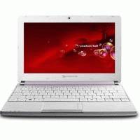 нетбук Packard Bell DOT S-E3/VW-513RU Фиолетово-Белый