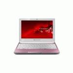 нетбук Packard Bell DOT SE/P-301 RU Розовый