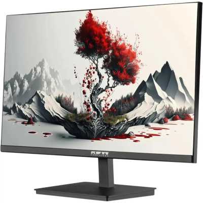 монитор RDW Computers 2401K/F00B3100V2A1H Черный