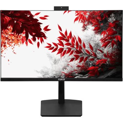 монитор RDW Computers 2402K/F02В3100V2A1 Черный
