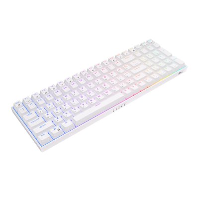 клавиатура Royal Kludge RK100 6935280813610 Белый