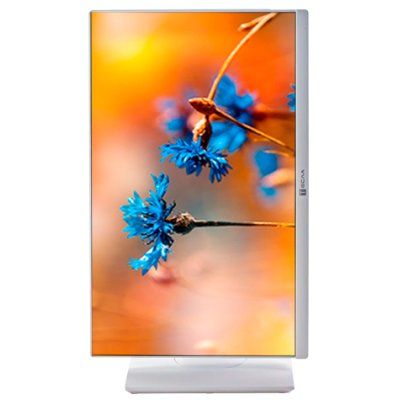моноблок Тесла P24 i3-12100/8GB/512GB/P24BP Back to School Черный