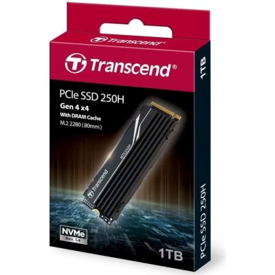 SSD диск Transcend 250H 1Tb TS1TMTE250H Черный